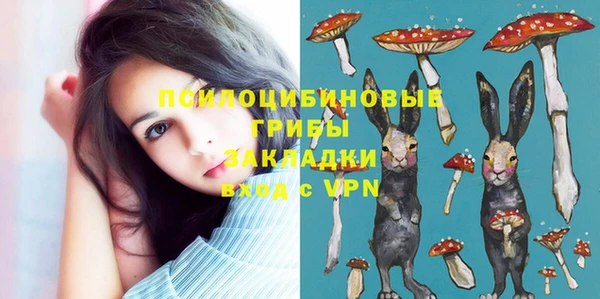прущая мука Арсеньев