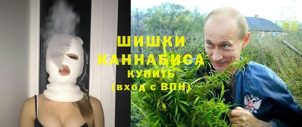 прущая мука Арсеньев