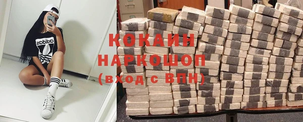 прущие грибы Магас
